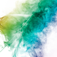Illustration for article titled Shooting Challenge Smoke Gallery 1